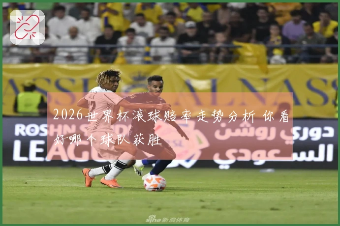2026世界杯滚球赔率走势分析 你看好哪个球队获胜